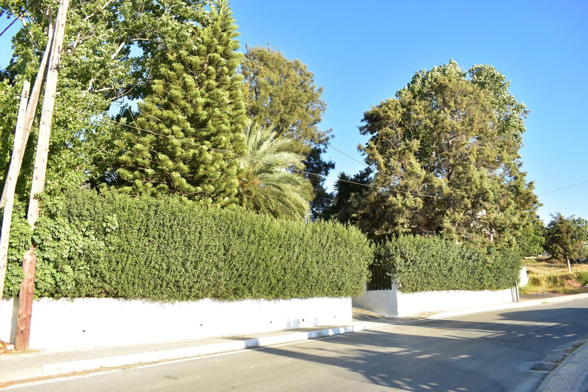 Νιrαsτεrο - The House In The Trees Villa Kalloni  Eksteriør bilde